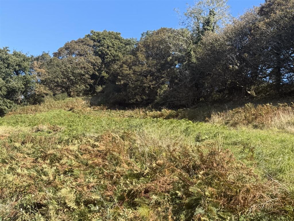 Land for sale - Image 1