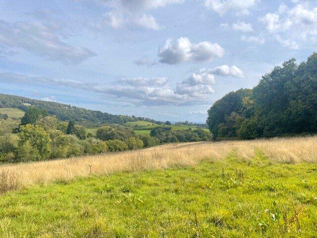 Land for sale - Image 1