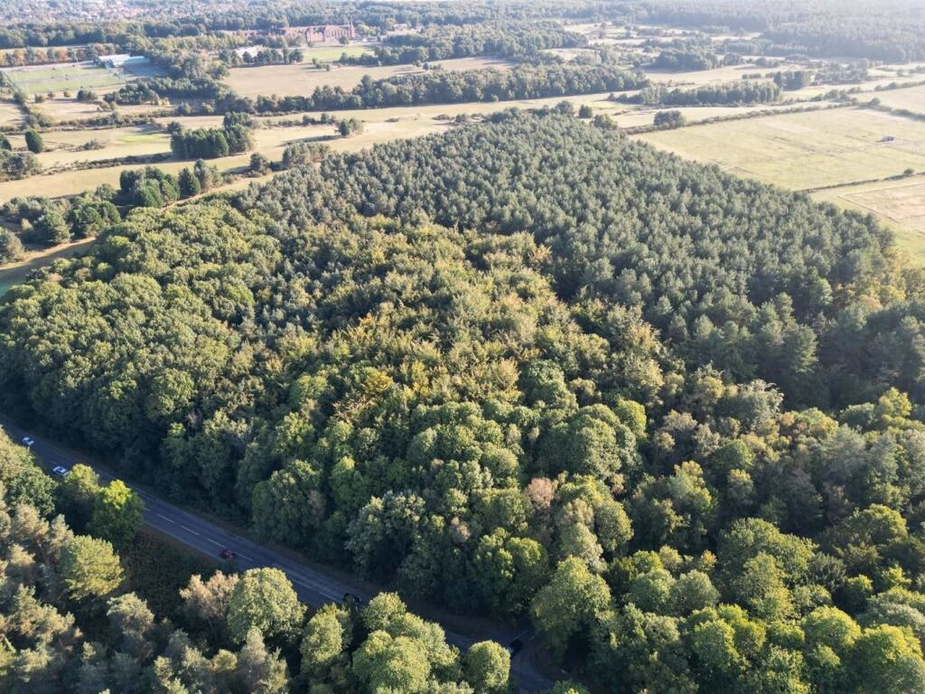 Land for sale - Image 1