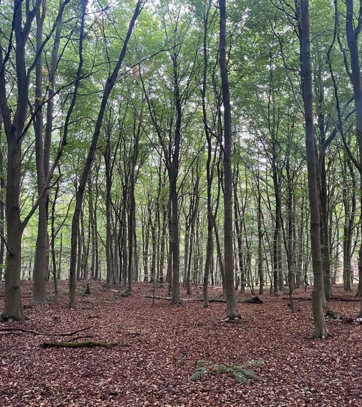 Land for sale - Image 2