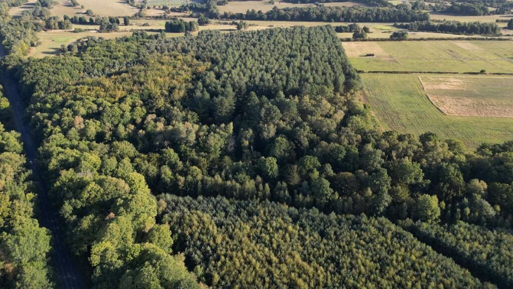 Land for sale - Image 5