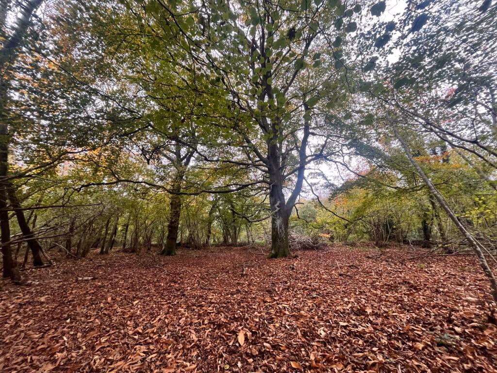 Land for sale - Image 1