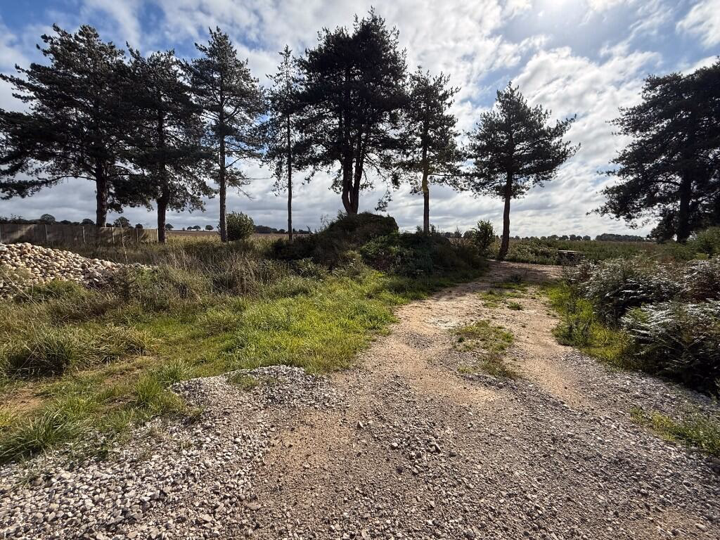 Plot for sale - Image 3