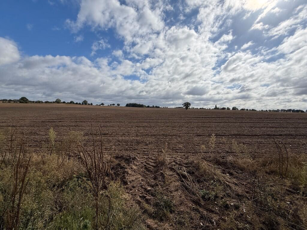 Plot for sale - Image 4