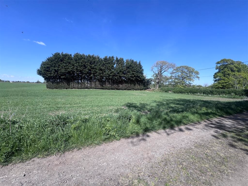 Land for sale - Image 2