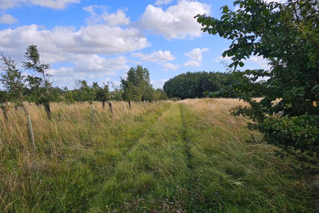 Plot for sale - Image 4