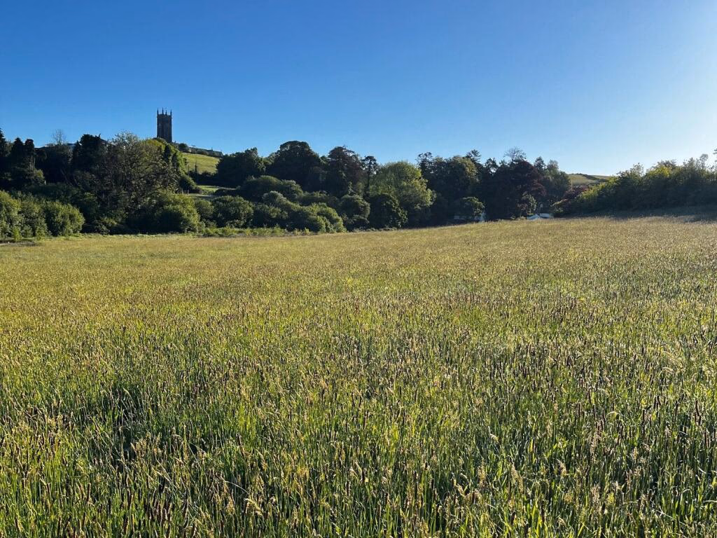 Land for sale - Image 1