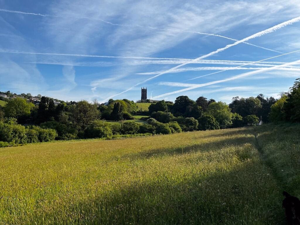 Land for sale - Image 3