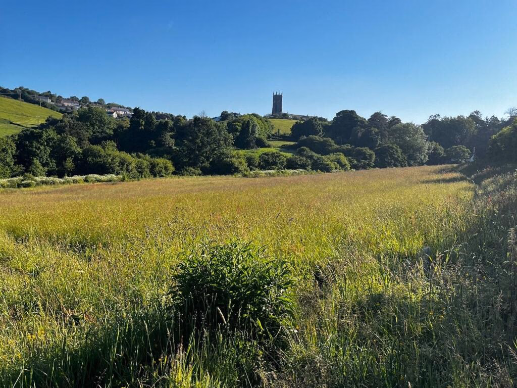 Land for sale - Image 5