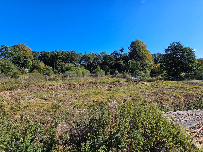 Plot for sale - Image 4