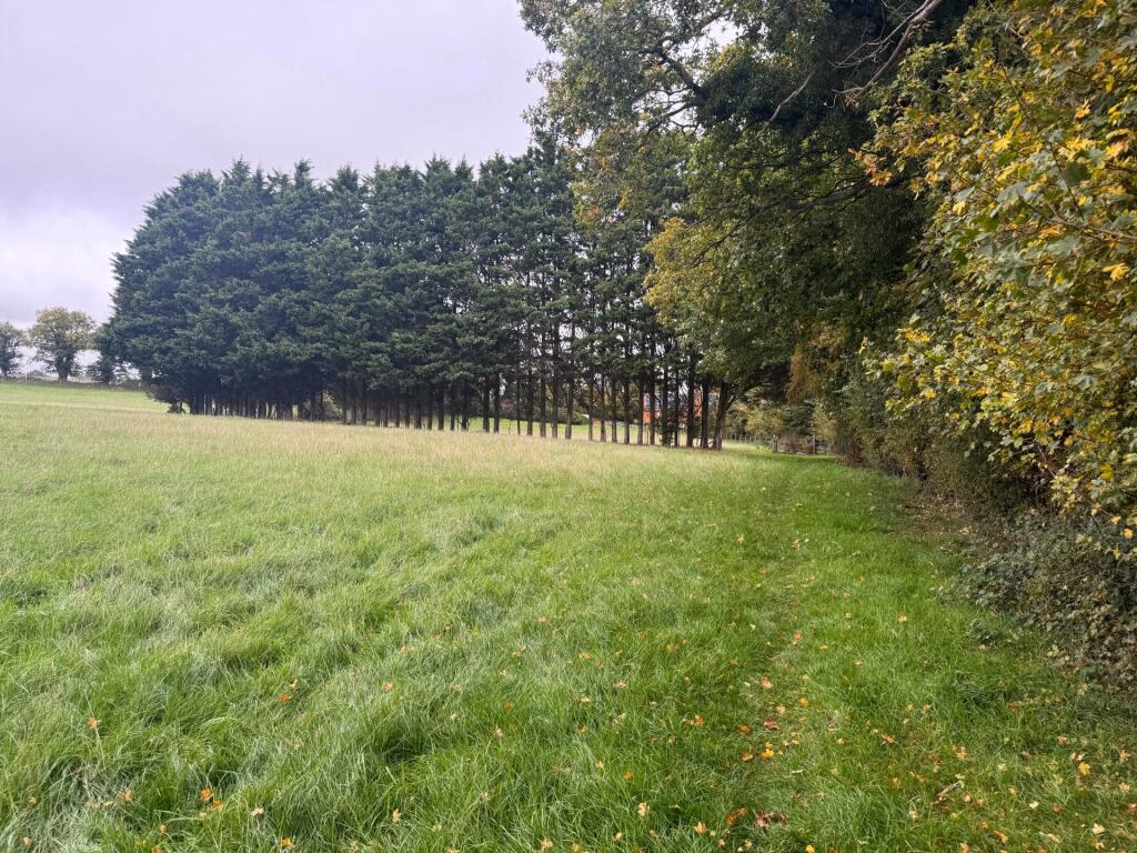 Land for sale - Image 4