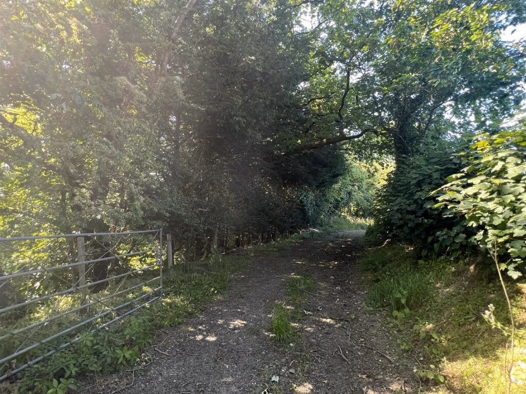 Smallholding for sale - Image 5