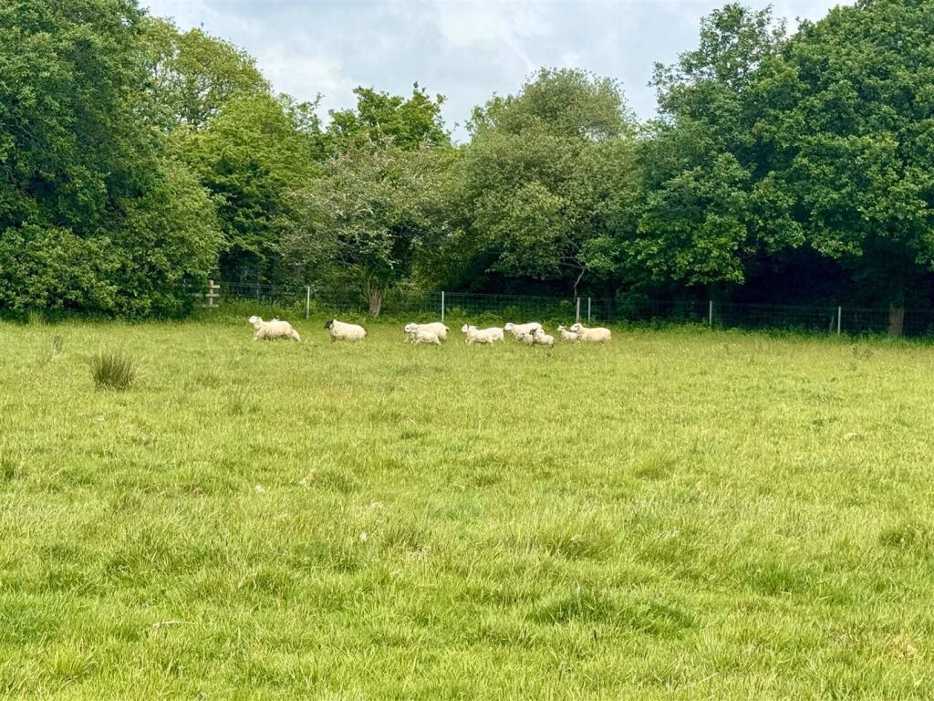 Land for sale - Image 2