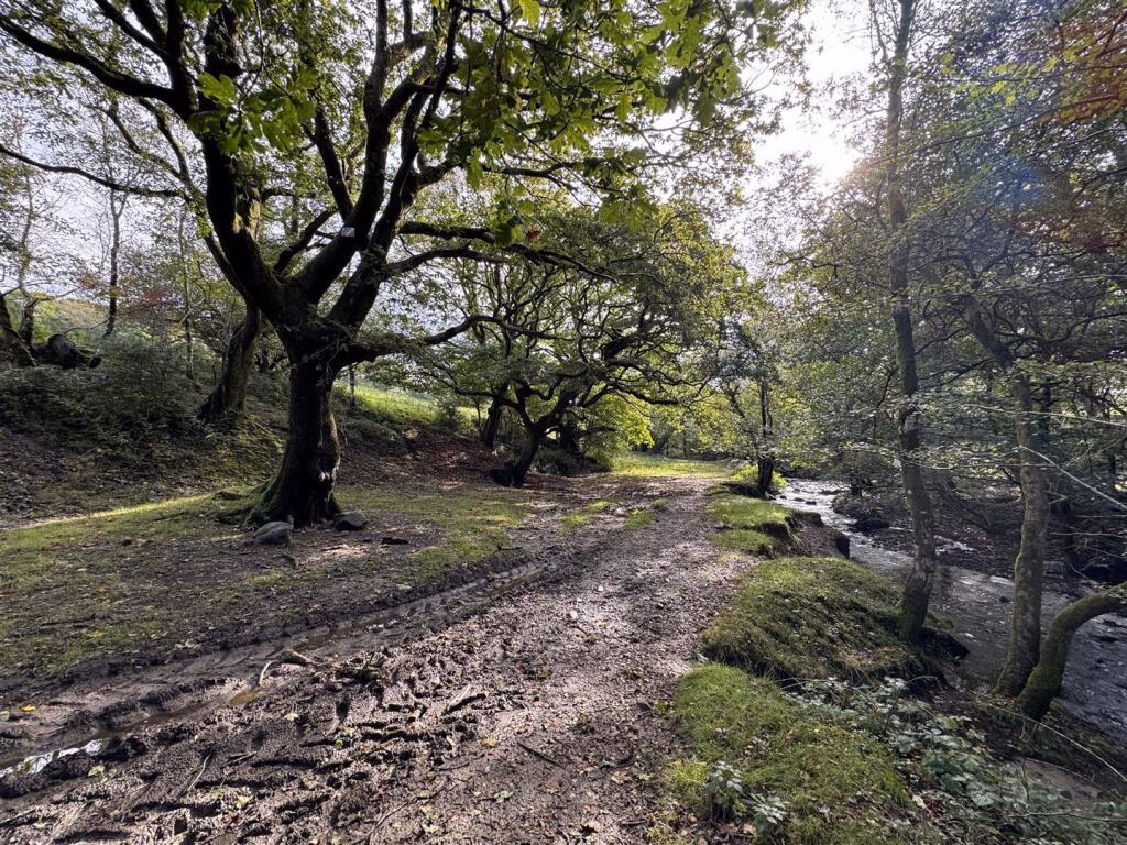 Land for sale - Image 2