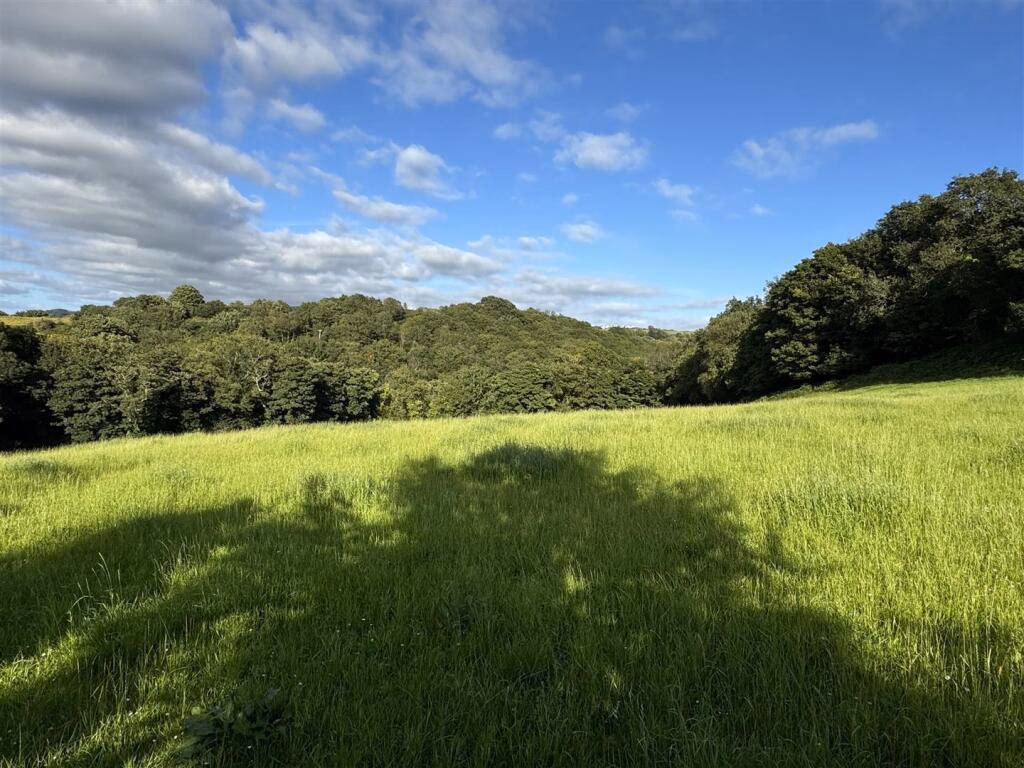 Land for sale - Image 2