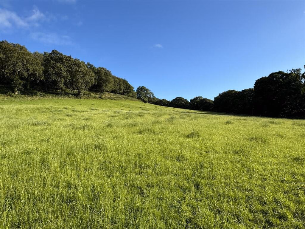 Land for sale - Image 3