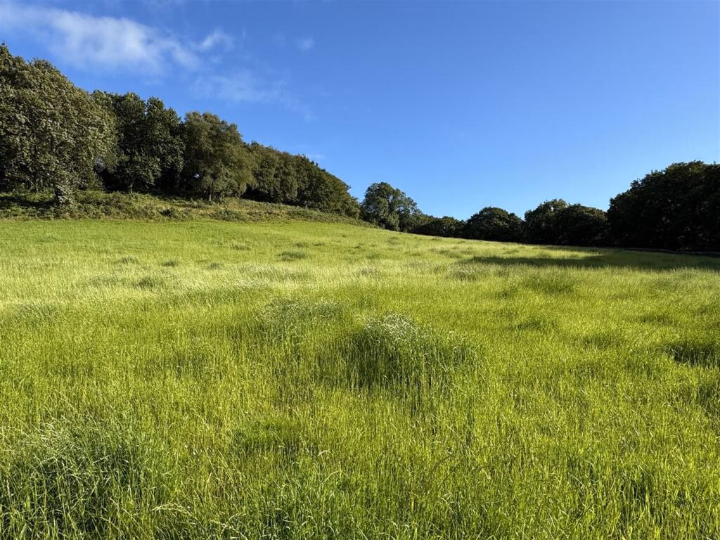 Land for sale - Image 5