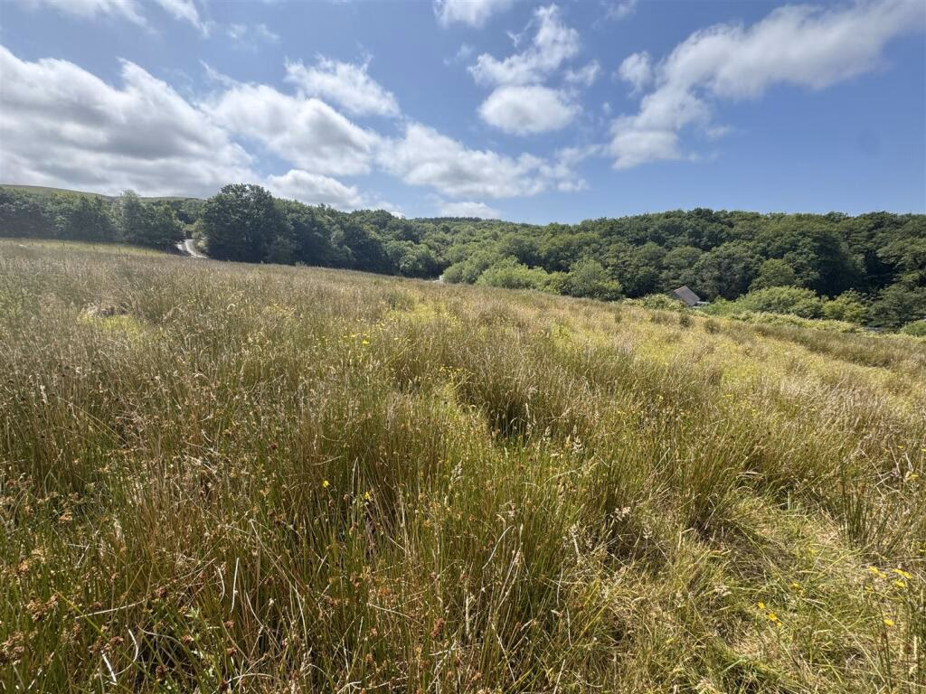 Land for sale - Image 2