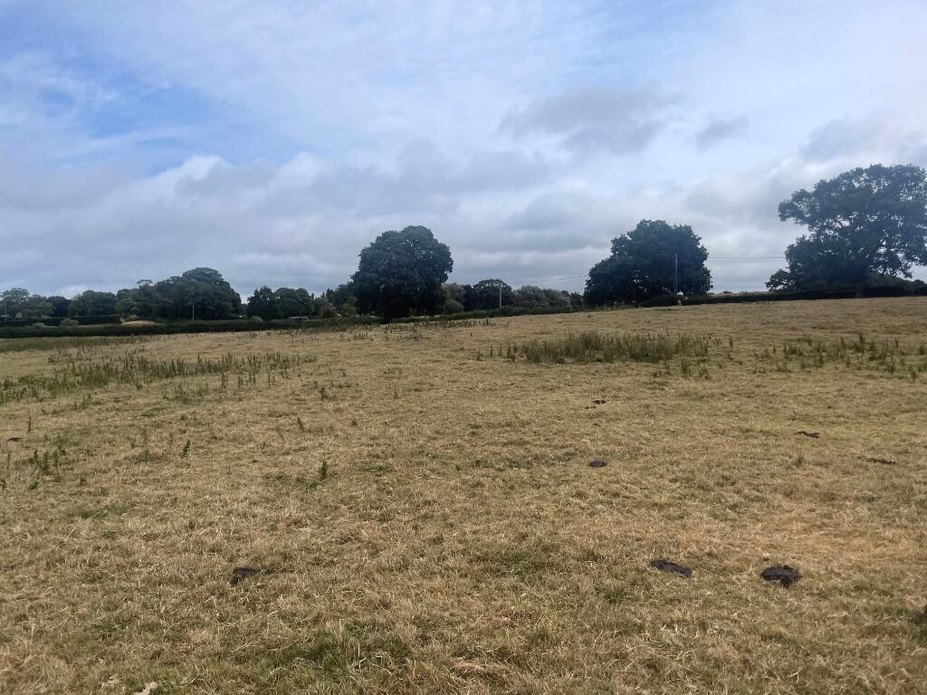 Farm land for sale - Image 2