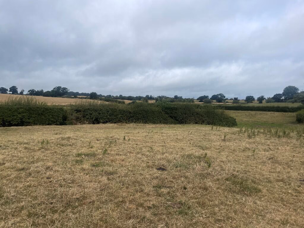 Farm land for sale - Image 3