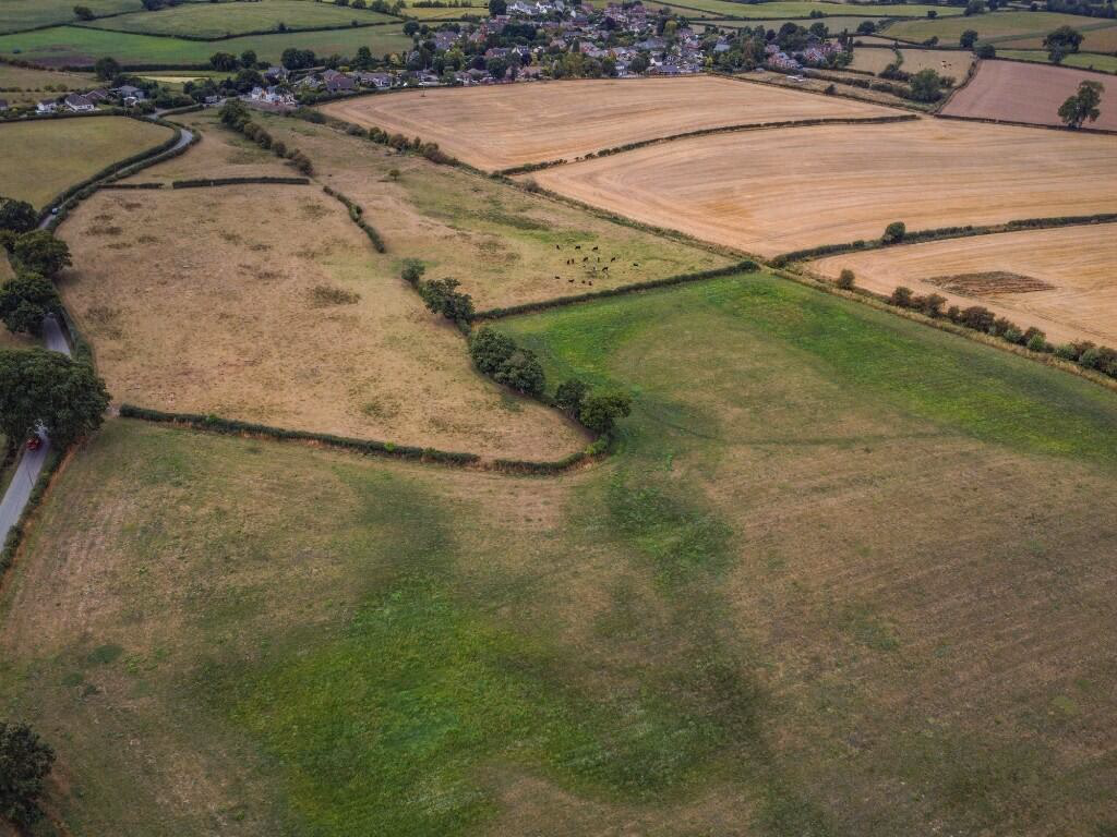 Farm land for sale - Image 5