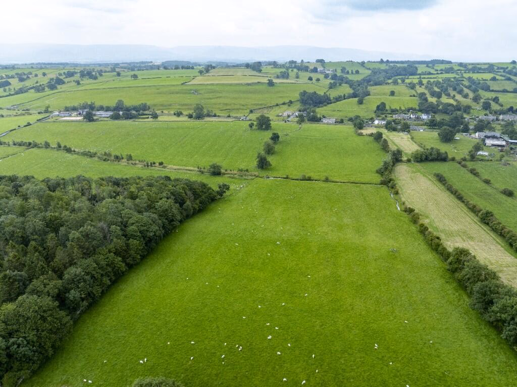 Land for sale - Image 1