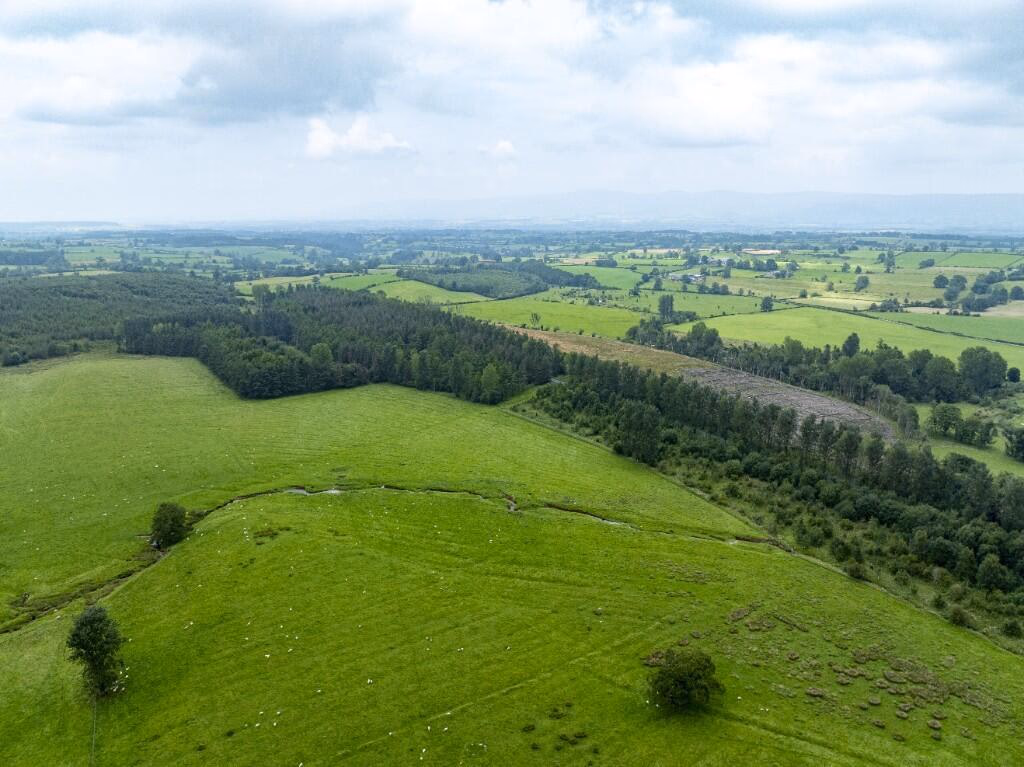 Land for sale - Image 3