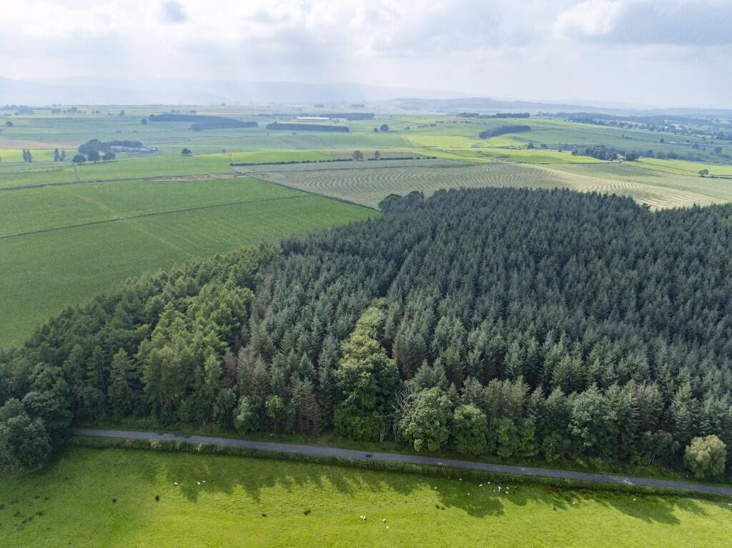 Land for sale - Image 3