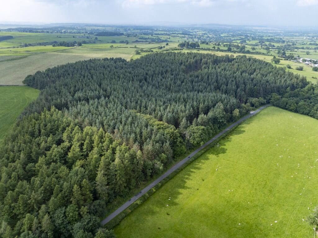 Land for sale - Image 4