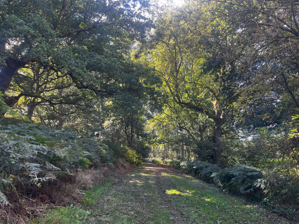 Land for sale - Image 3