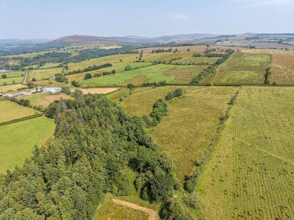 Farm land for sale - Image 4