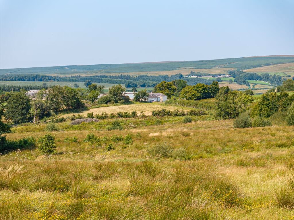 Farm land for sale - Image 5