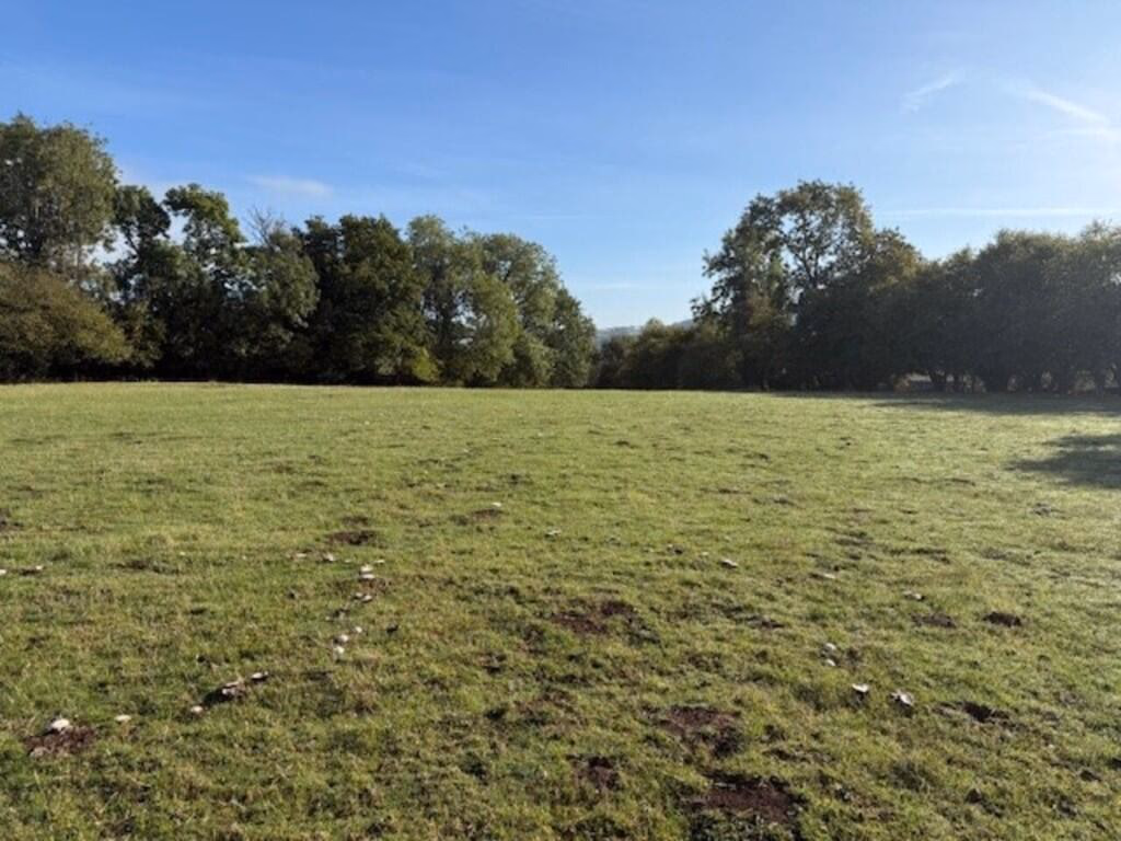 Land for sale - Image 4