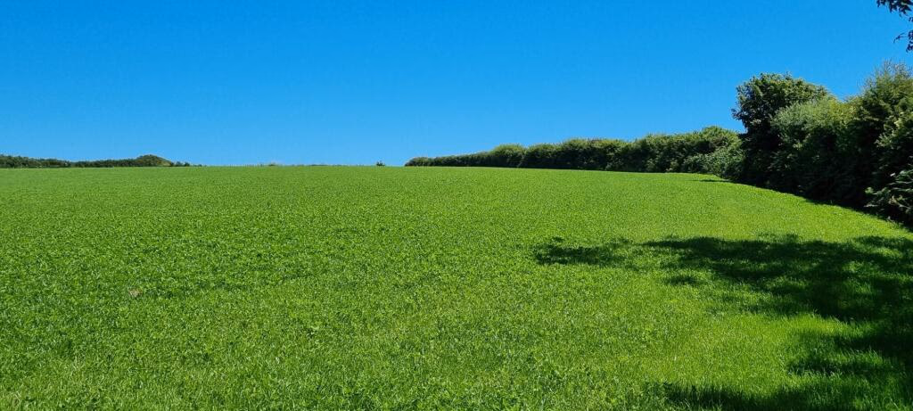 Plot for sale - Image 5