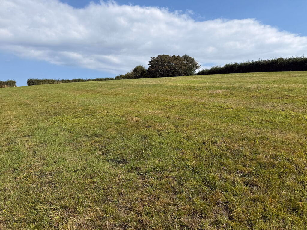 Land for sale - Image 2