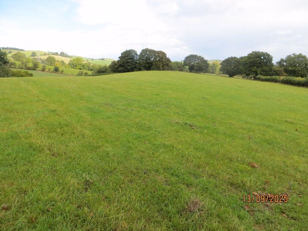 1.00-Acre Field Land for Sale in Mid Wales