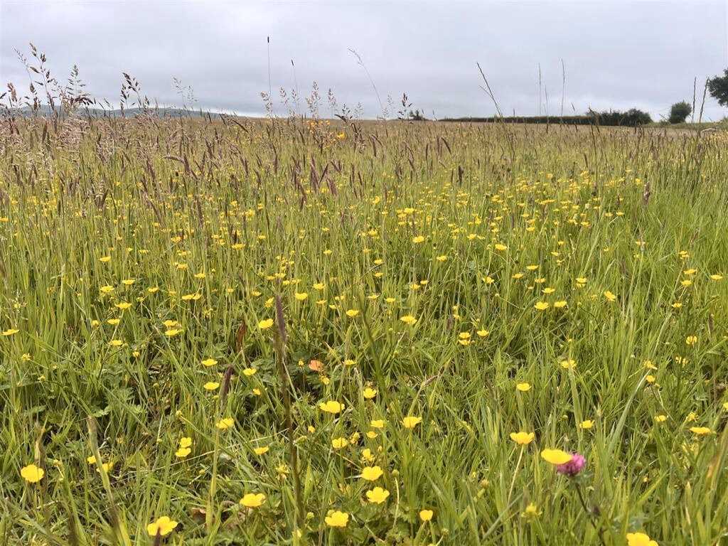 Land for sale - Image 3