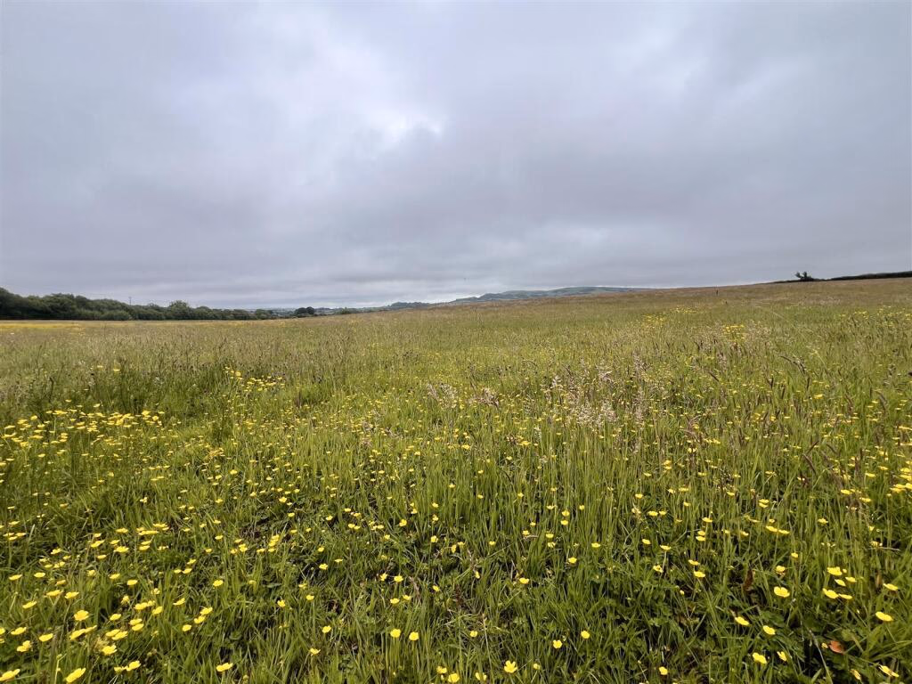 Land for sale - Image 4