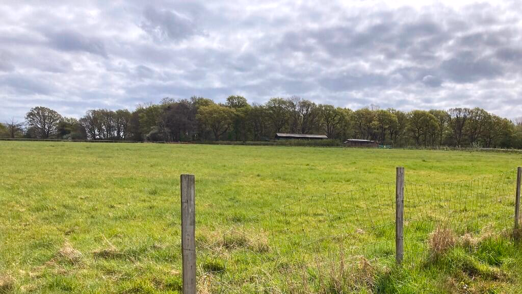 Land for sale - Image 3