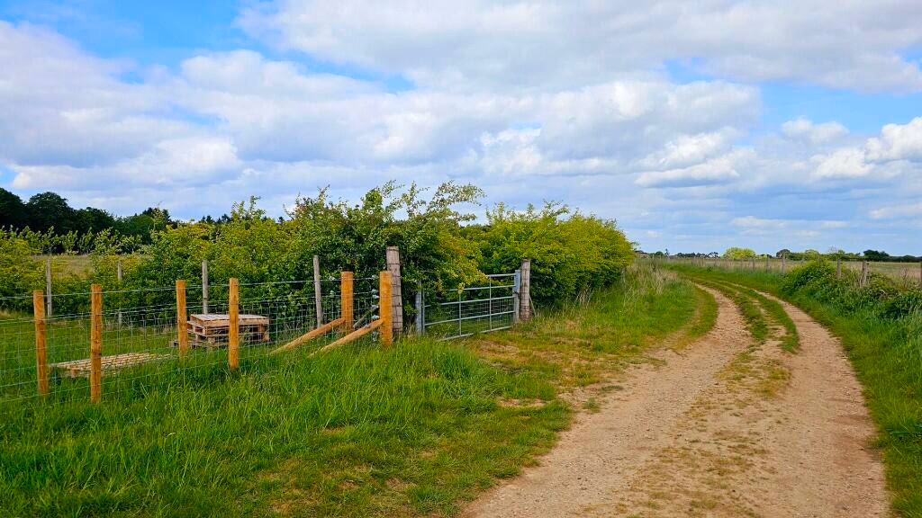 Land for sale - Image 3