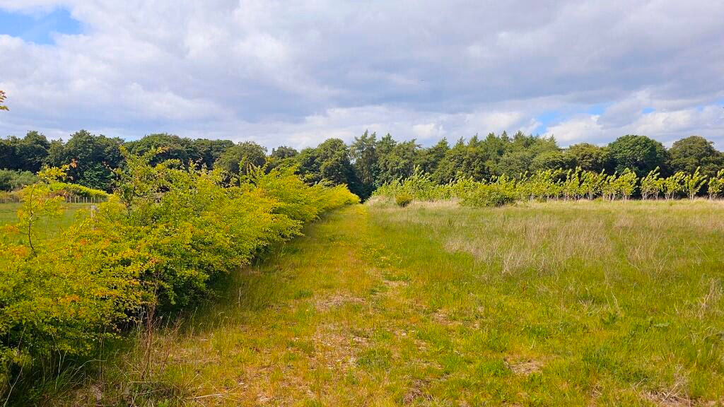 Land for sale - Image 4