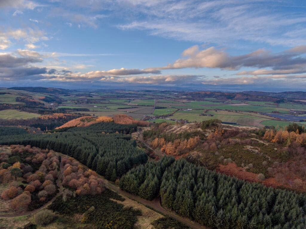 Land for sale - Image 4