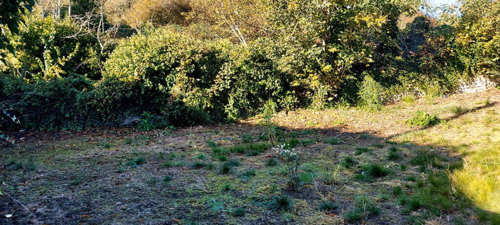 Land for sale - Image 2