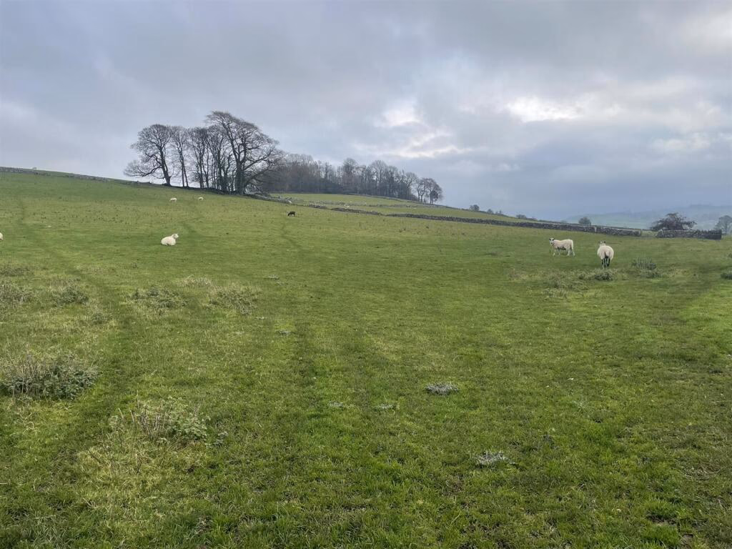 Land for sale - Image 4