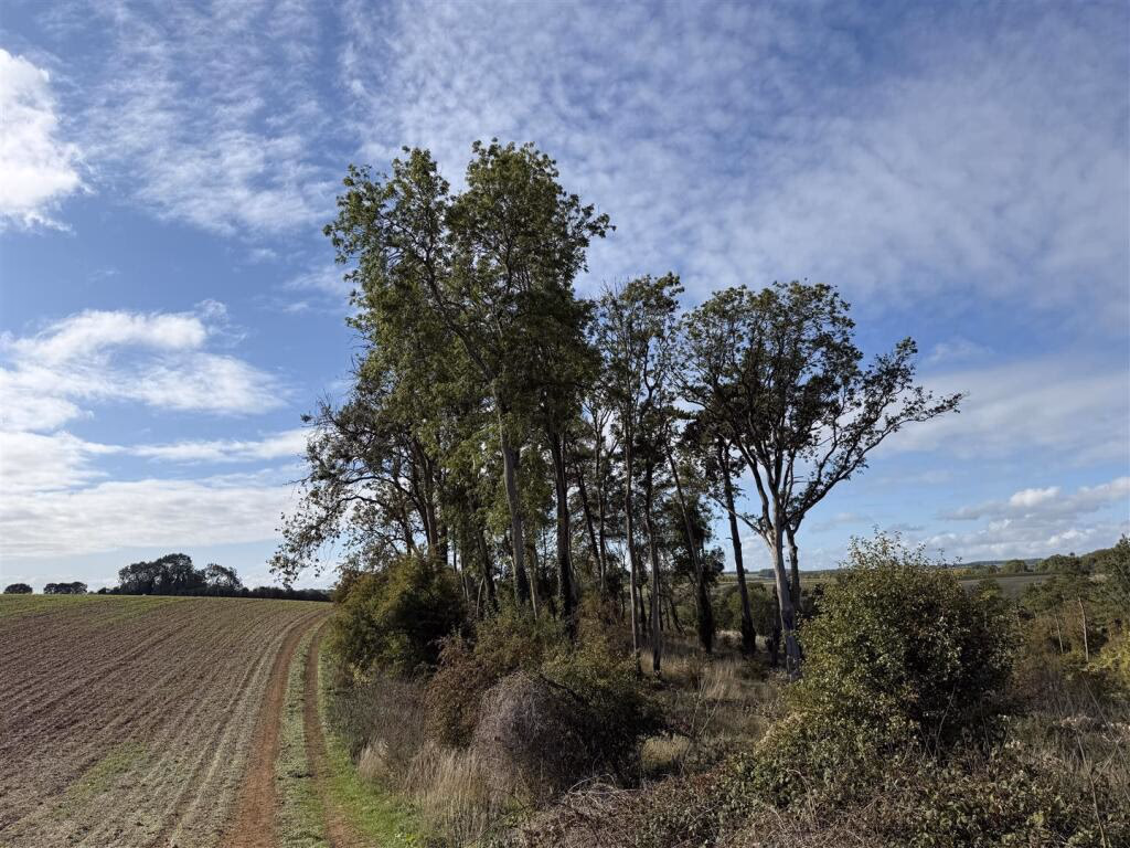 Land for sale - Image 3