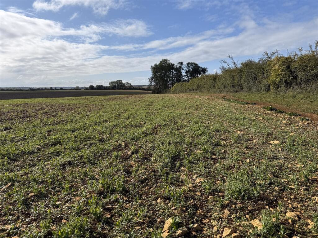 Land for sale - Image 4