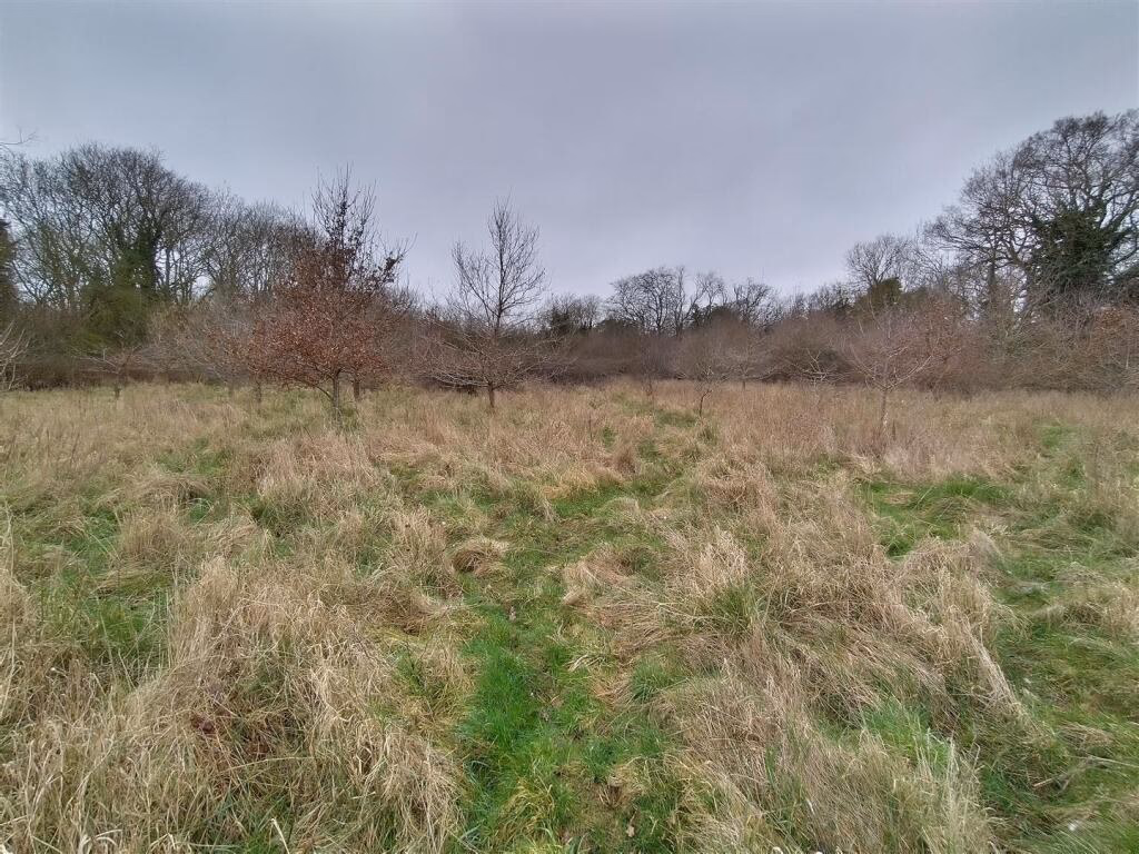 Land for sale - Image 1