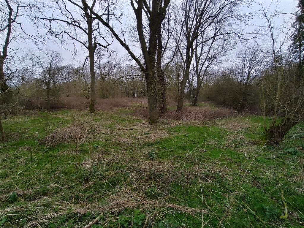 Land for sale - Image 2