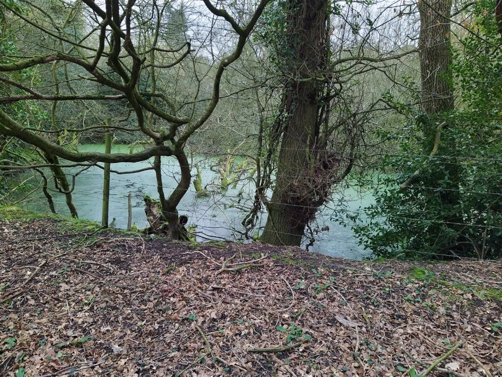 Land for sale - Image 3