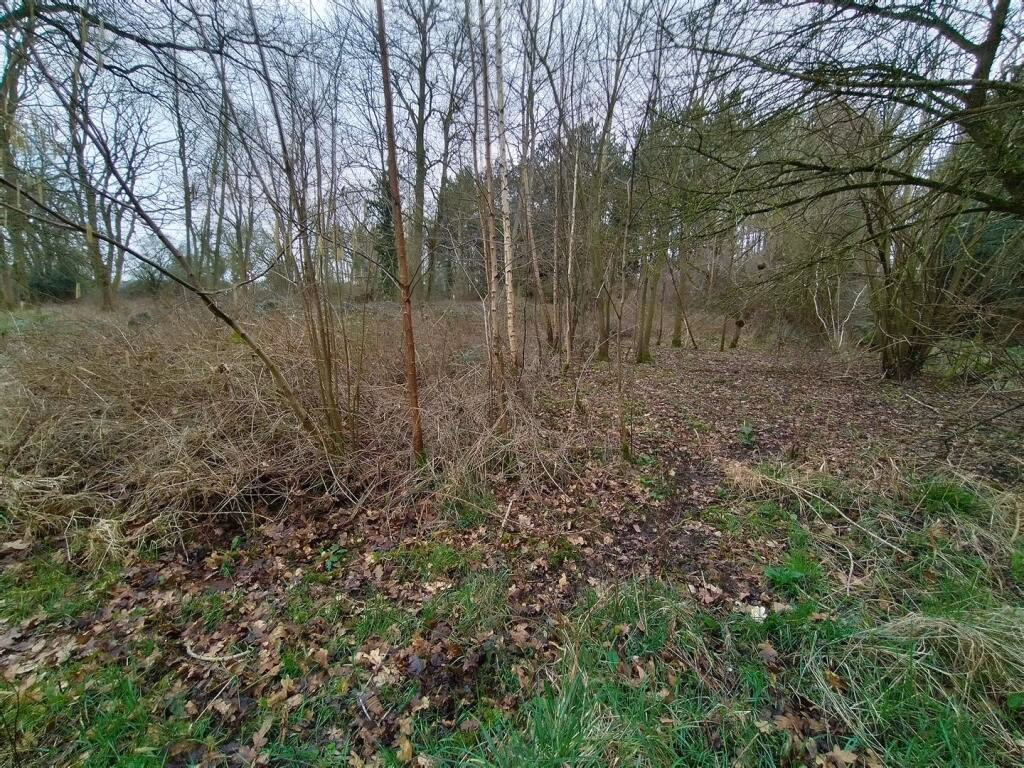 Land for sale - Image 5